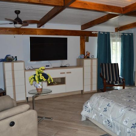 Villa Carmen Кастель Вольтурно Экстерьер фото
